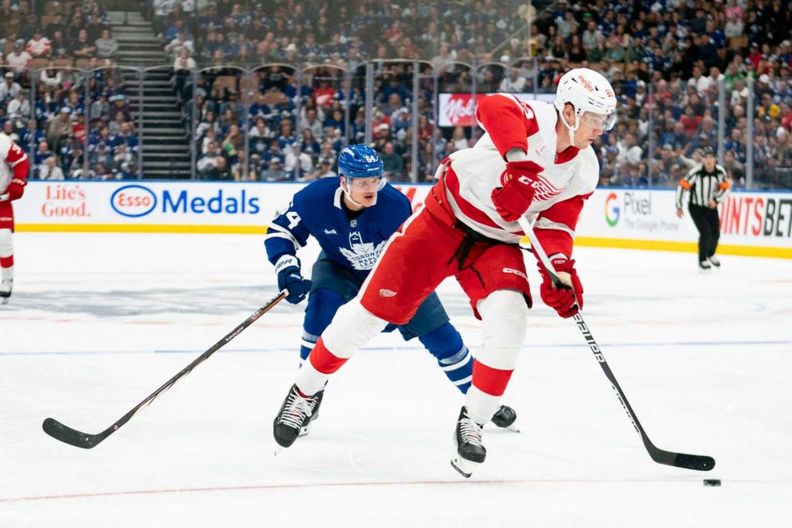 Detroit Red Wings Vs Toronto Maple Leafs Hockey Game