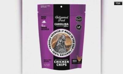 Dog Treats Recall Salmonella