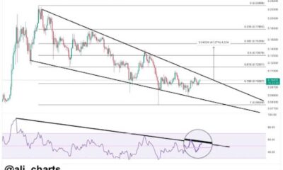 Dogecoin Price Chart Bullish Divergence