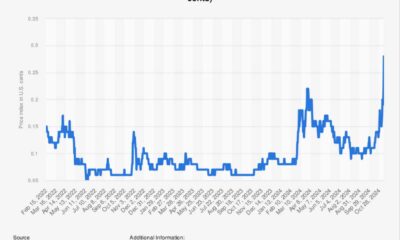 Dogecoin Price Surge November 2024