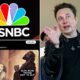 Elon Musk And Msnbc Logo