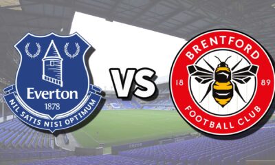 Everton Vs Brentford Premier League Match