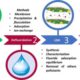 Fluoride In Drinking Water Treatment Plant