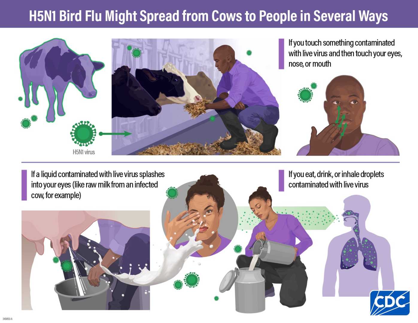 H5n1 Bird Flu Virus Infection In Humans And Animals