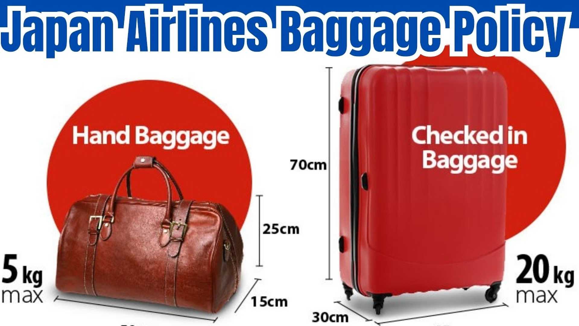 Japan Airlines Sports Equipment Baggage Allowance