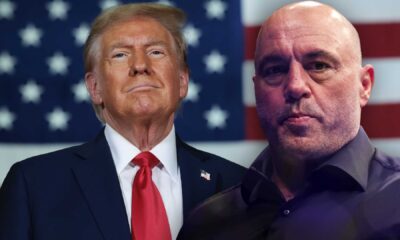 Joe Rogan And Donald Trump