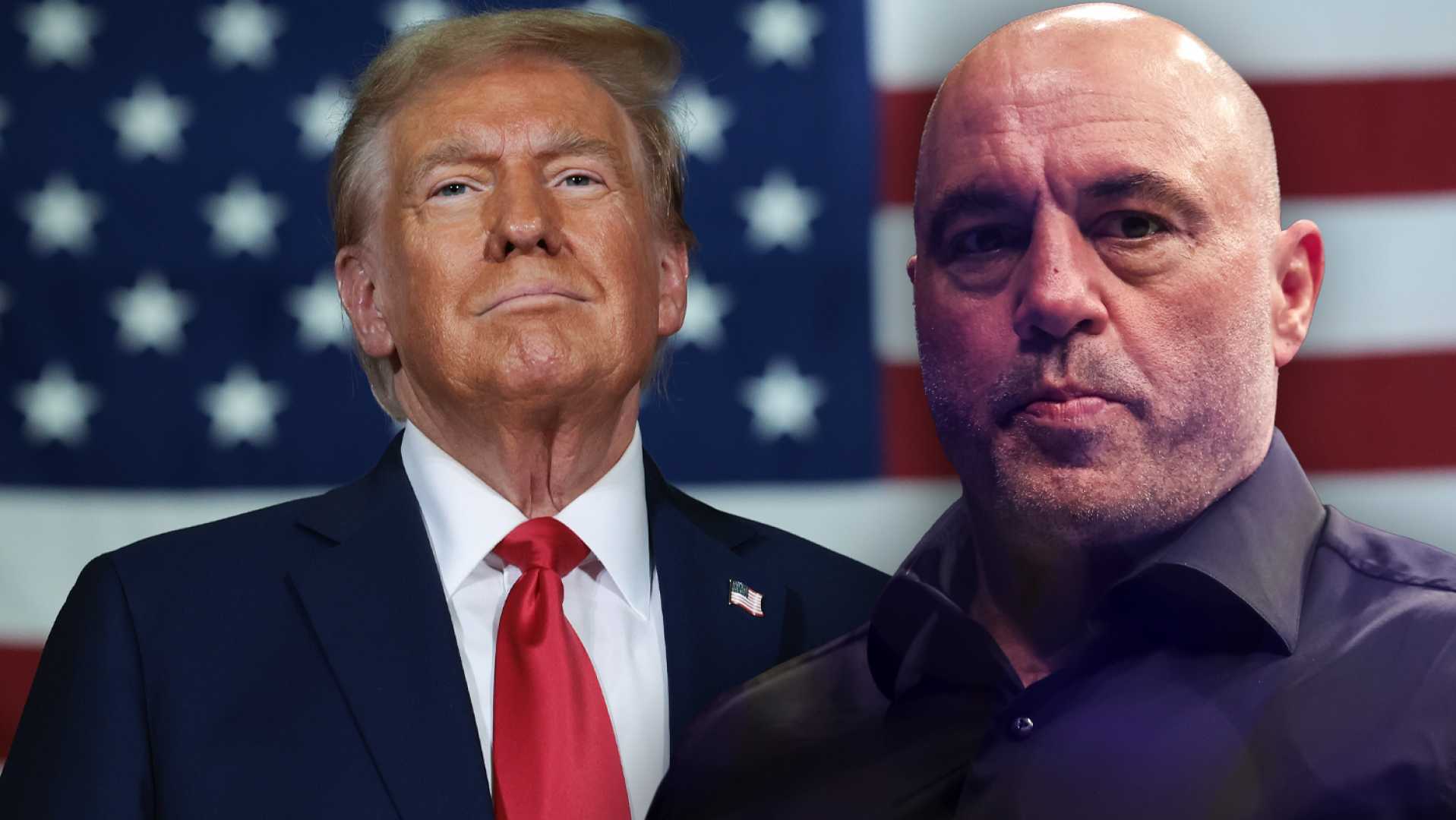 Joe Rogan And Donald Trump