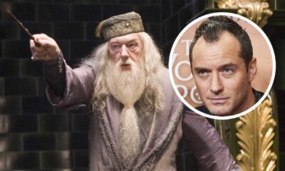 Jude Law As Albus Dumbledore In Fantastic Beasts