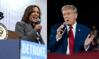 Kamala Harris And Donald Trump 2024 Election Polls