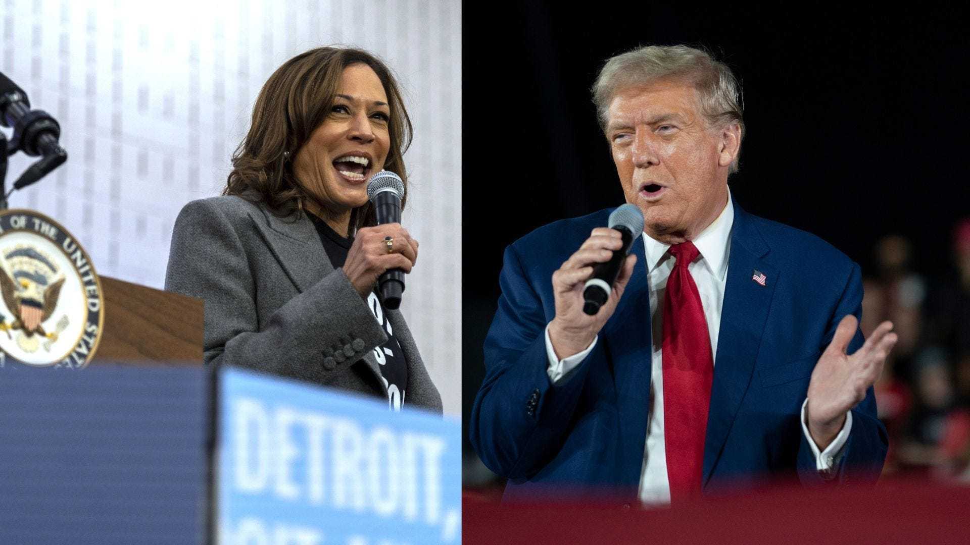 Kamala Harris And Donald Trump 2024 Election Polls