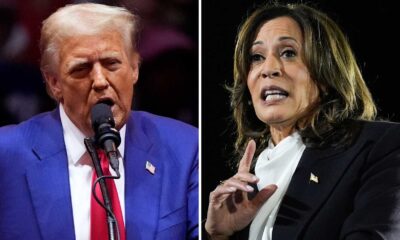 Kamala Harris And Donald Trump Election 2024 Polls