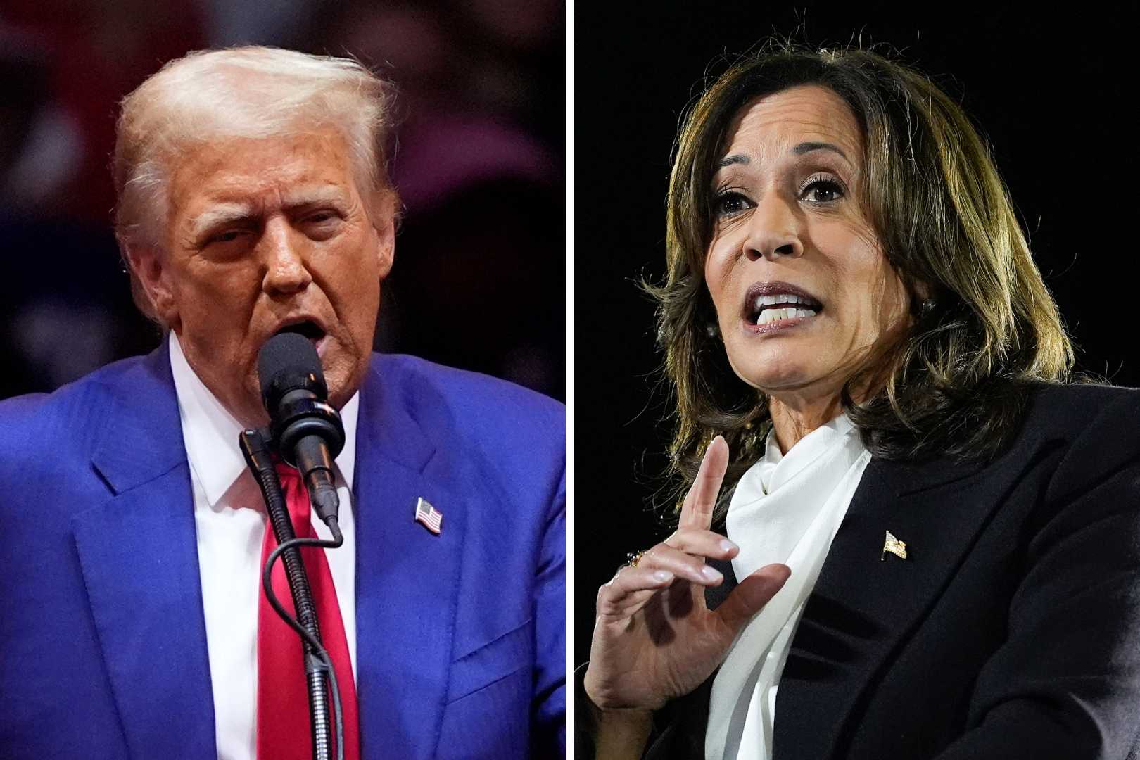 Kamala Harris And Donald Trump Election 2024 Polls