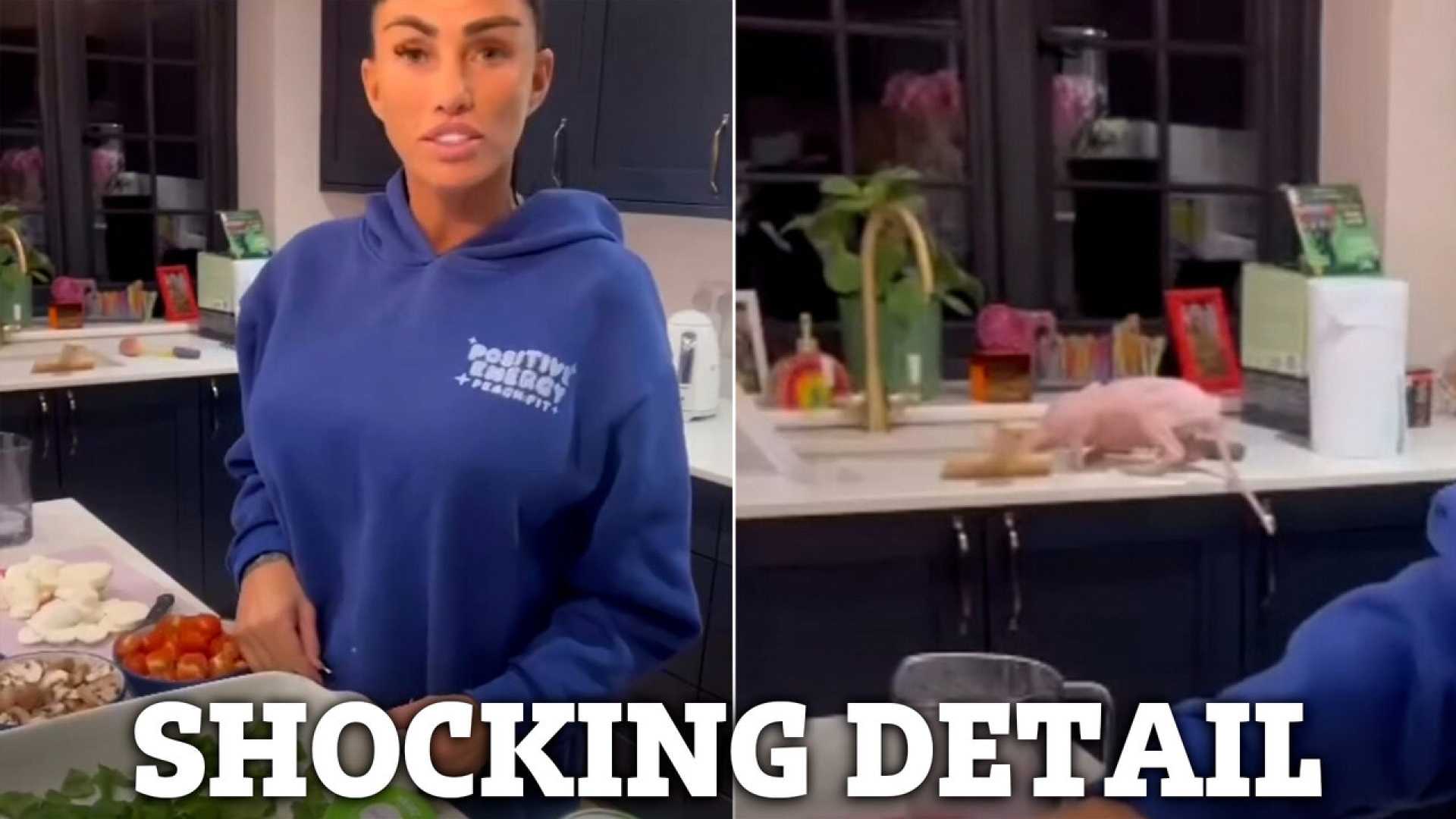 Katie Price Cooking Video Unhygienic Detail