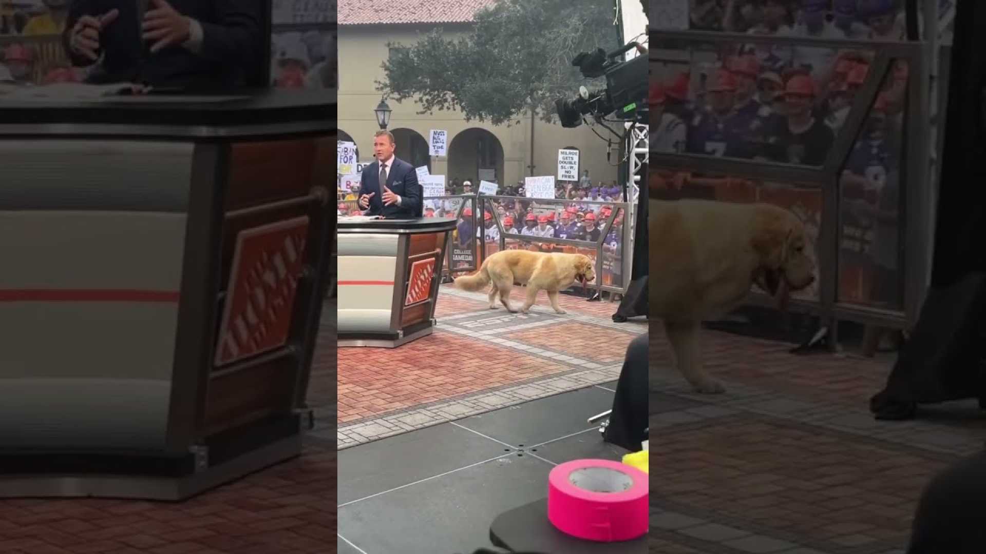 Kirk Herbstreit Dog Peter College Gameday