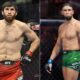 Magomed Ankalaev Ufc 294