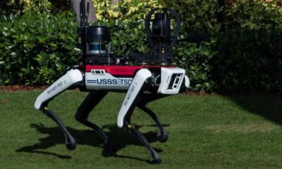 Mar A Lago Robot Dog Spot Secret Service