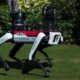 Mar A Lago Robot Dog Spot Secret Service