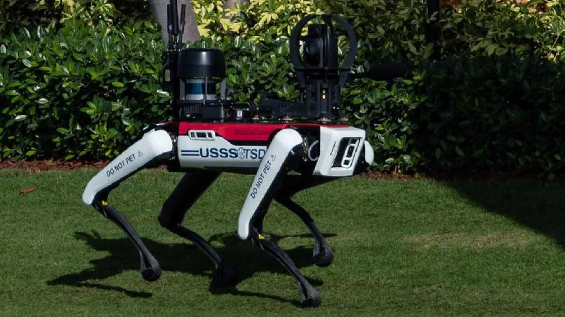 Mar A Lago Robot Dog Spot Secret Service