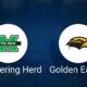 Marshall Thundering Herd Vs Southern Miss Golden Eagles Football Game