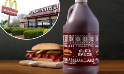 Mcdonald's Mcrib Sandwich And Whole Lotta Mcrib Sauce