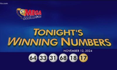 Mega Millions Winning Numbers November 12 2024