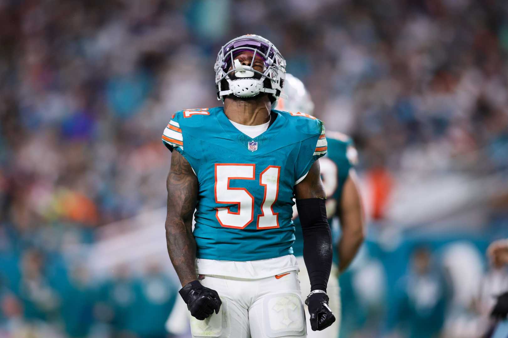 Miami Dolphins Roster Moves David Long Jr Jack Stoll