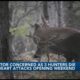 Michigan Deer Hunters Heart Attacks