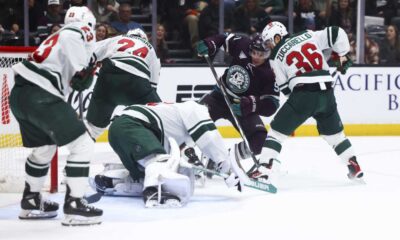 Minnesota Wild Vs Anaheim Ducks Hockey Game