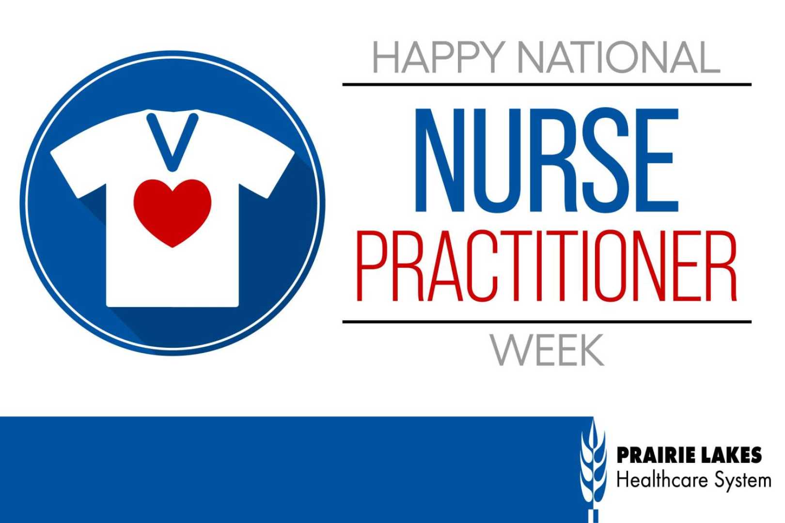 National Nurse Practitioner Week 2024 Celebration