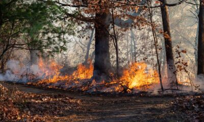 New Jersey Wildfires Palisades Interstate Parkway