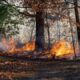 New Jersey Wildfires Palisades Interstate Parkway