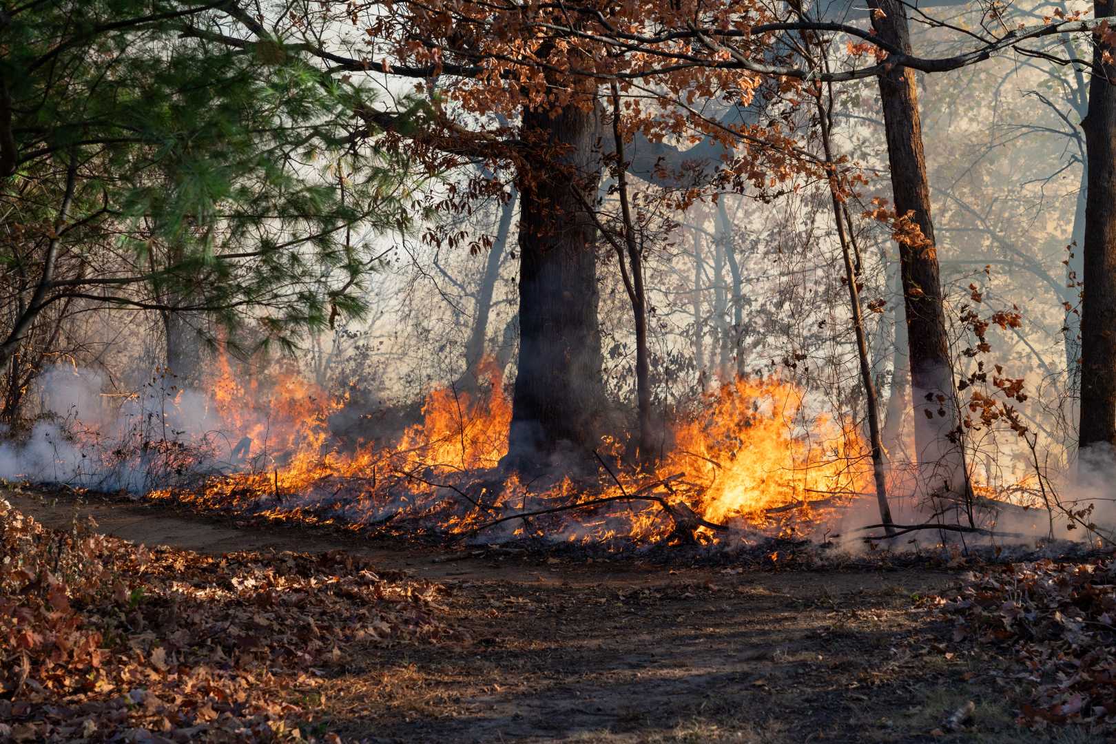 New Jersey Wildfires Palisades Interstate Parkway