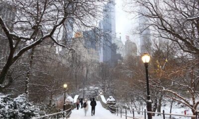 New York Snowstorm Forecast November 2024