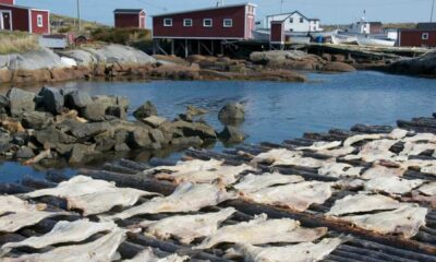 Newfoundland And Labrador Cod Fishery