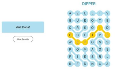 Nyt Strands Puzzle Grid November 24 2024