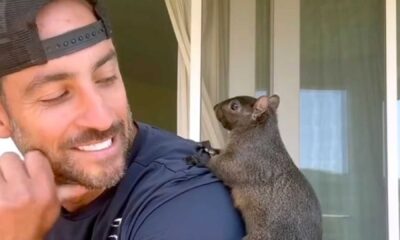 Peanut The Squirrel And Mark Longo