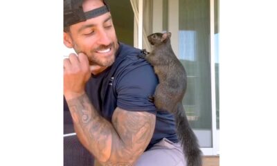 Peanut The Squirrel Mark Longo