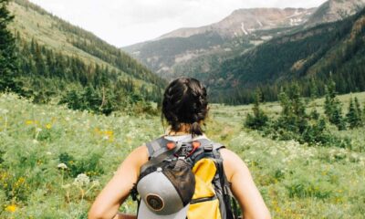 People Hiking In Nature On National Hiking Day