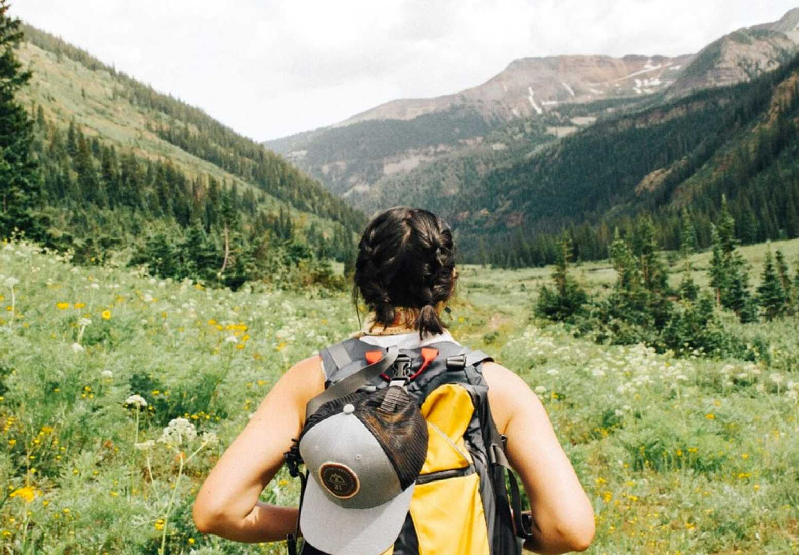 People Hiking In Nature On National Hiking Day