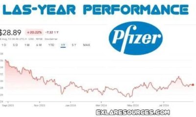 Pfizer Stock Price Graph November 2024