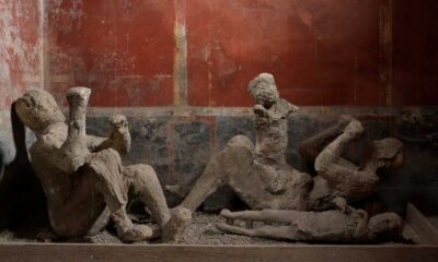 Pompeii Plaster Casts Dna Analysis