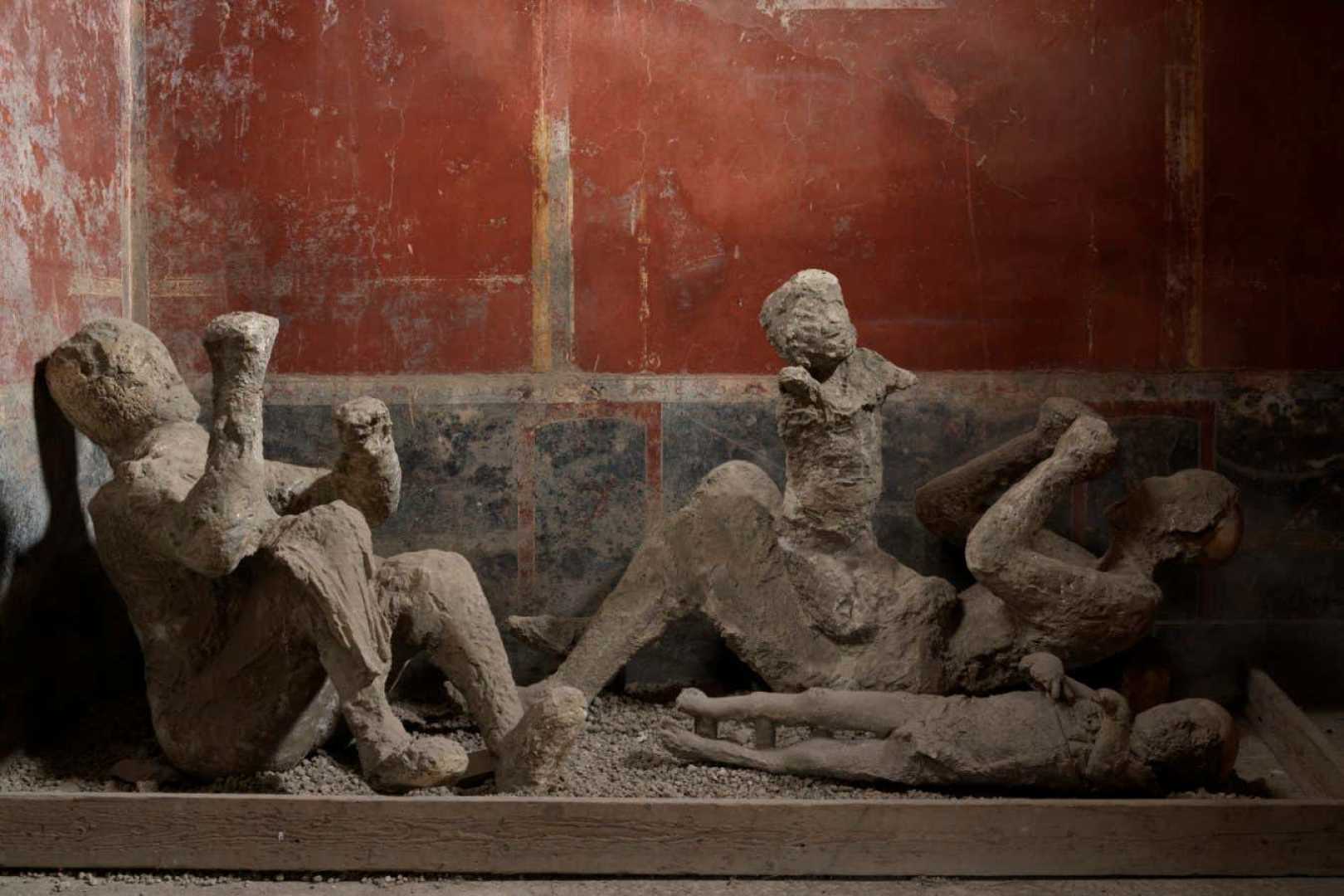 Pompeii Plaster Casts Dna Analysis