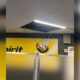 Raccoon At Laguardia Airport Ceiling