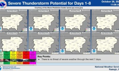 Raleigh Nc Weather Forecast November 2024