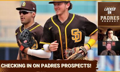 San Diego Padres Farm System Prospects