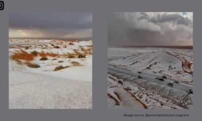 Saudi Arabian Desert Snowfall 2024