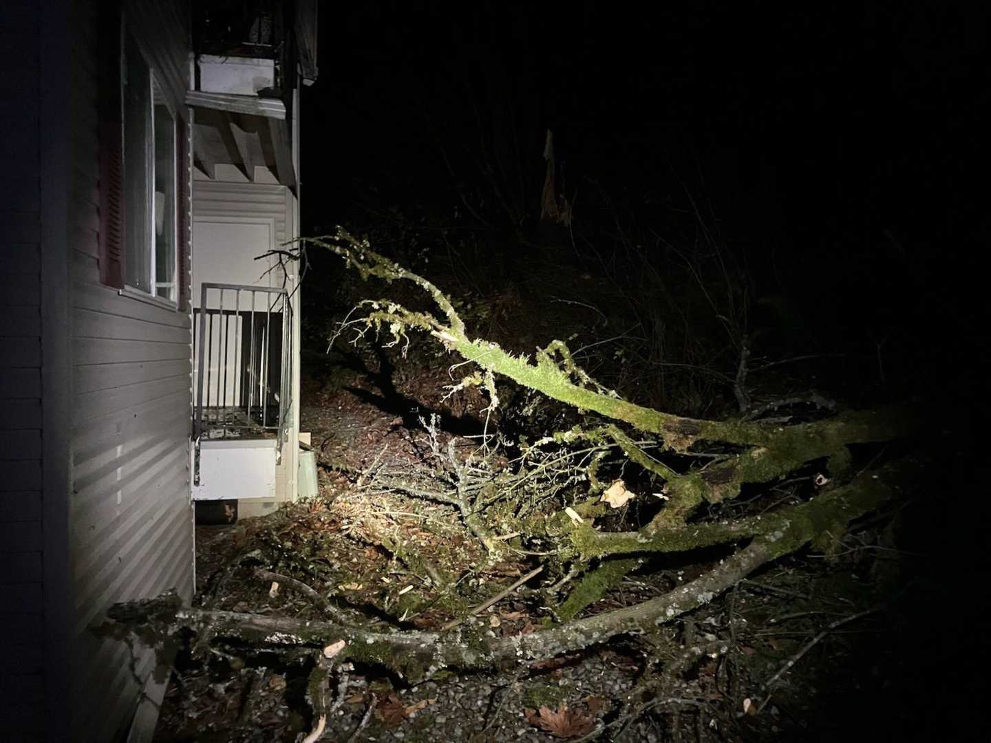 Seattle City Light Crews Preparing For Windstorm