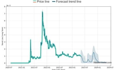 Shiba Inu Coin Price Chart