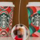 Starbucks 2024 Holiday Cups And Drinks