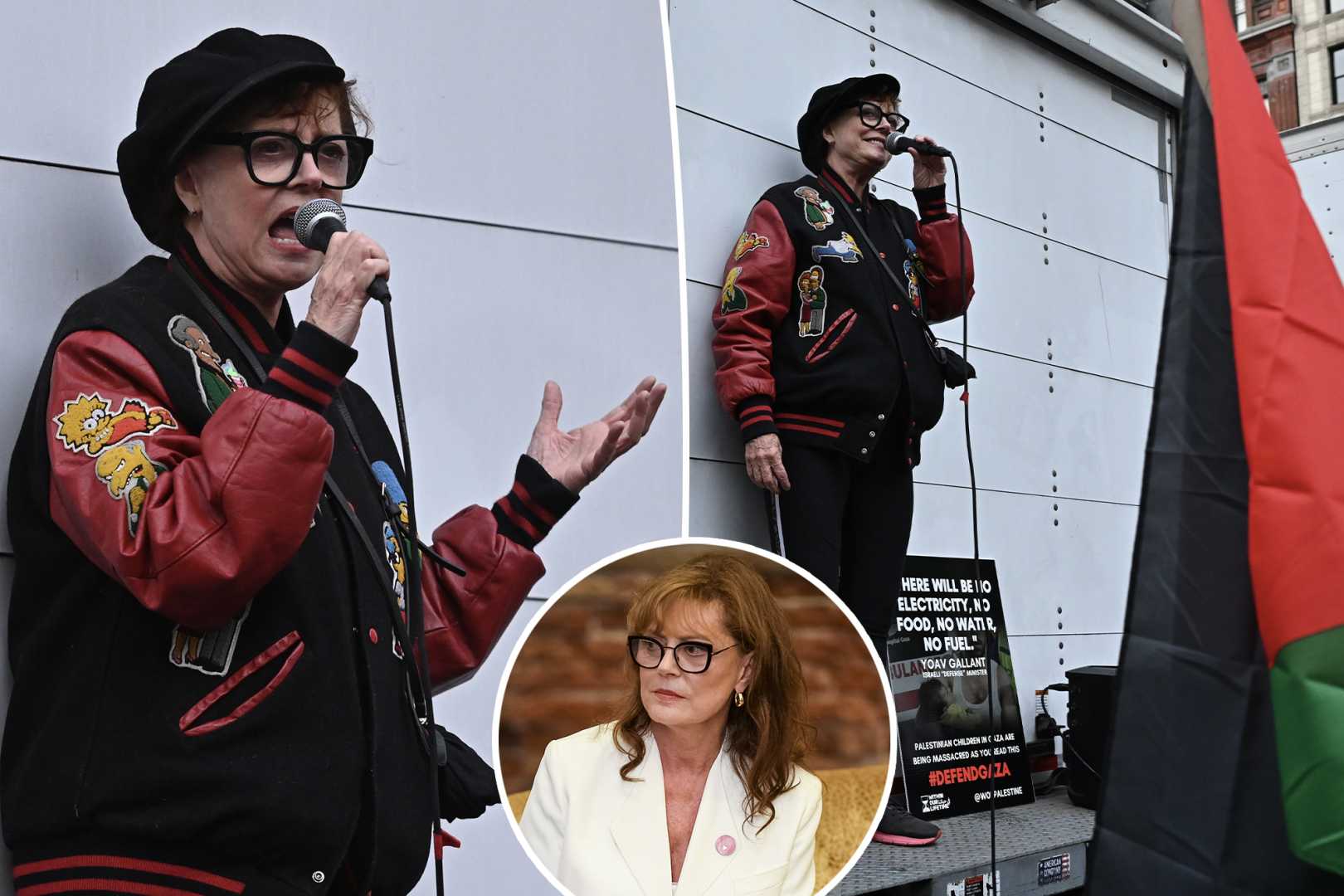 Susan Sarandon Pro Palestinian Rally